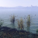 Misty Lake