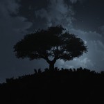 Night Tree