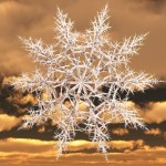 Snowflake 1