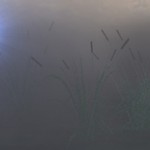 Willo-the-wisp Willo-the-wisp
