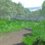 Wooded Lane Wooded Lane