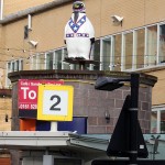 Go Penguin in Queen's Square Bus Station