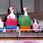 Sporty Go Penguins