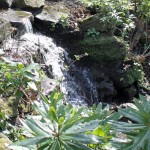 Water falling over rocks in Sefton Park, Liverpool