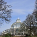 sefton-park-palm-house-live