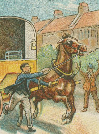 How to Stop a Runaway Horse Illustration
